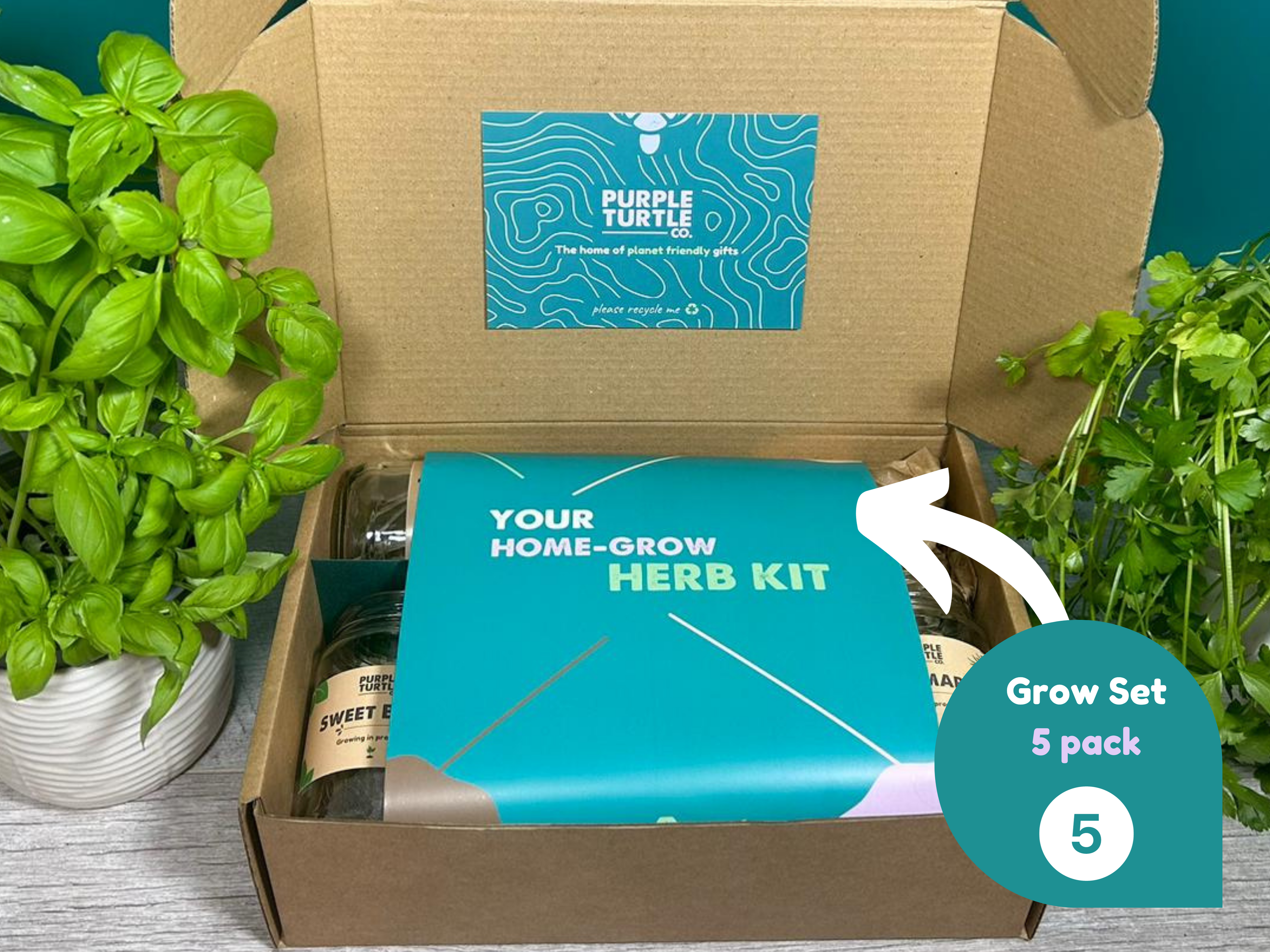 Grow Your Own Herbs Gift Set