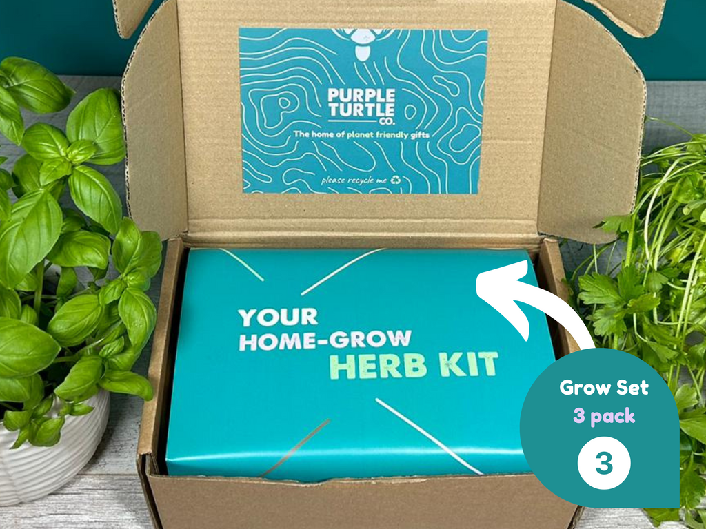 Grow Your Own Herbs Gift Set