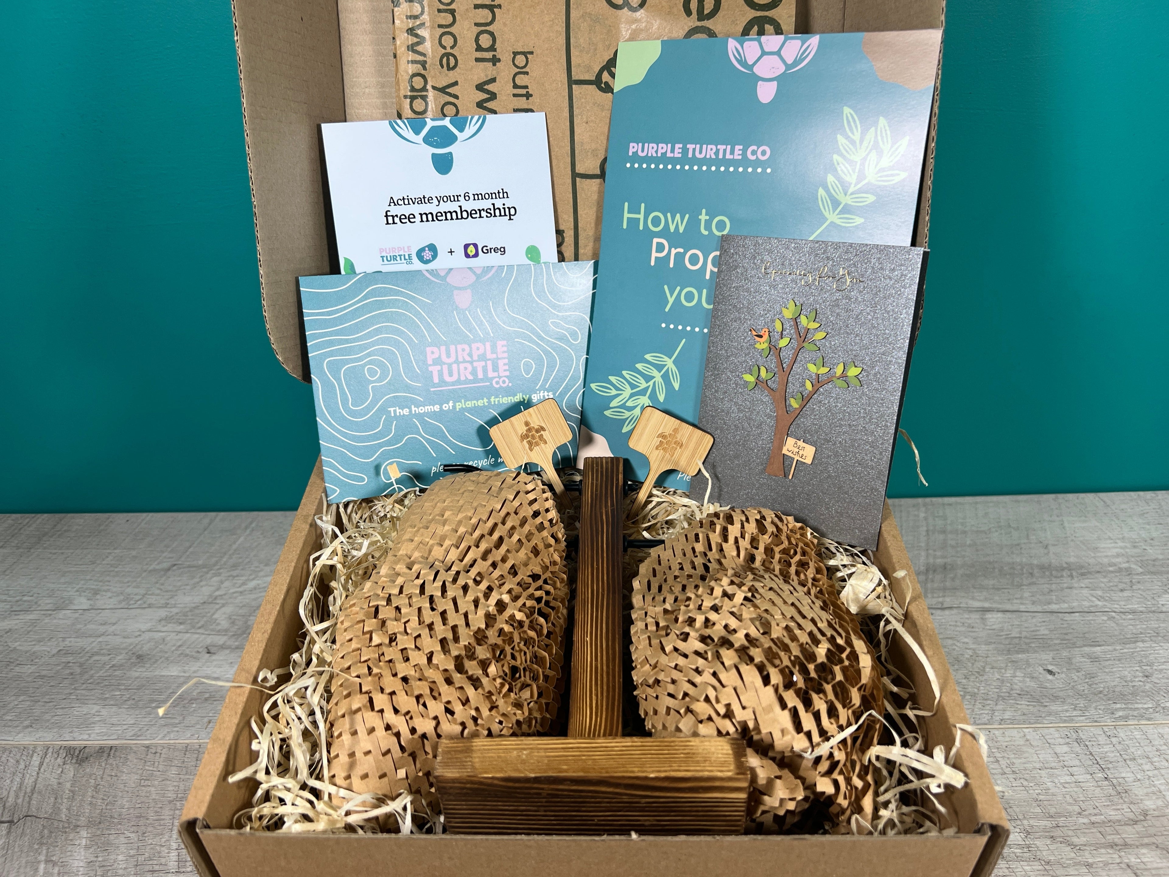 Plant Propagation Gift Set #1