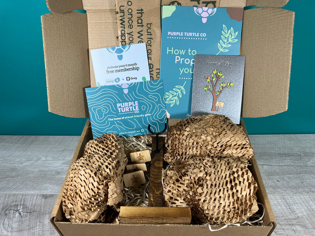 Plant Propagation Gift Set #1