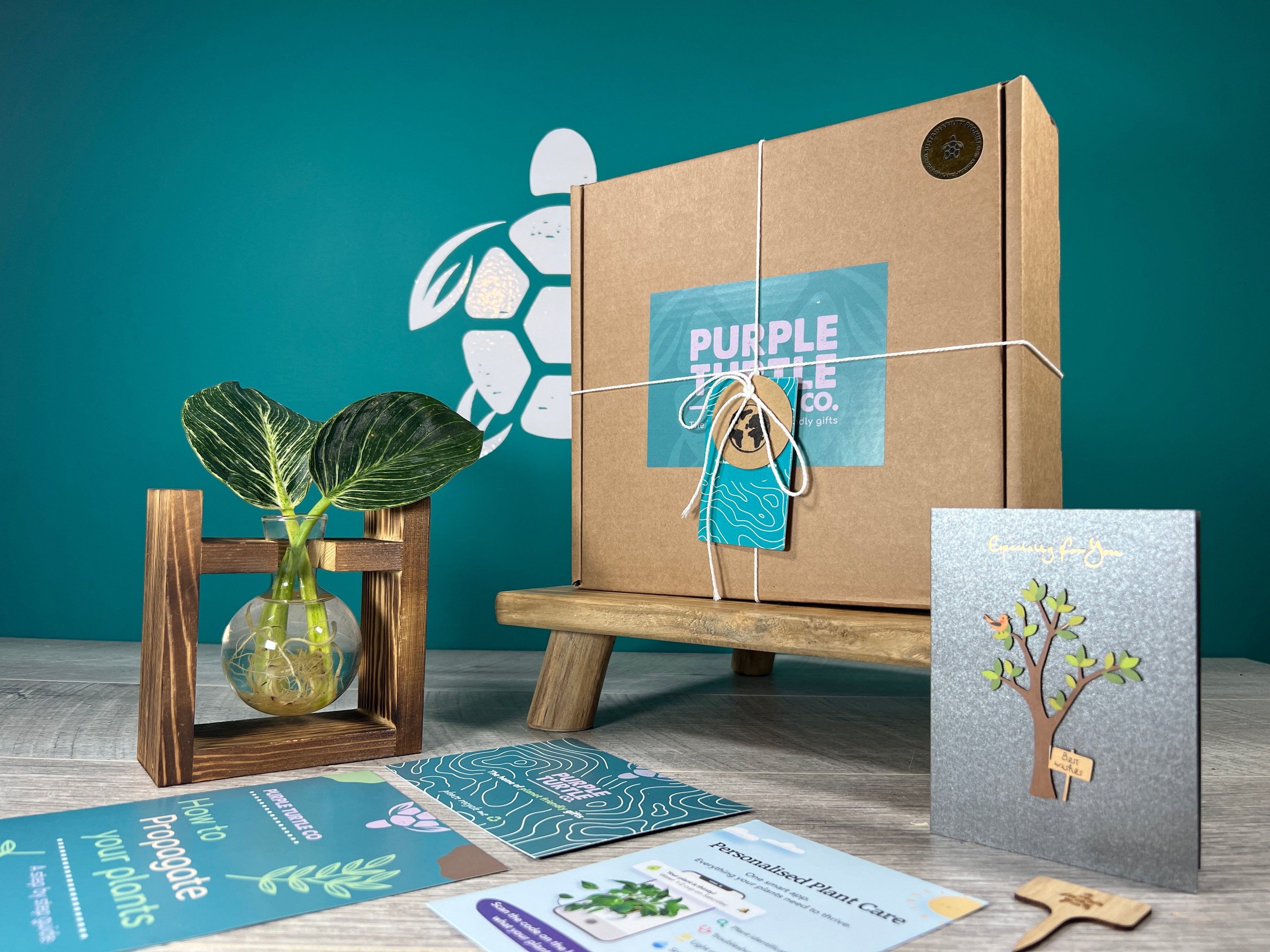 Plant Propagation Gift Set #5