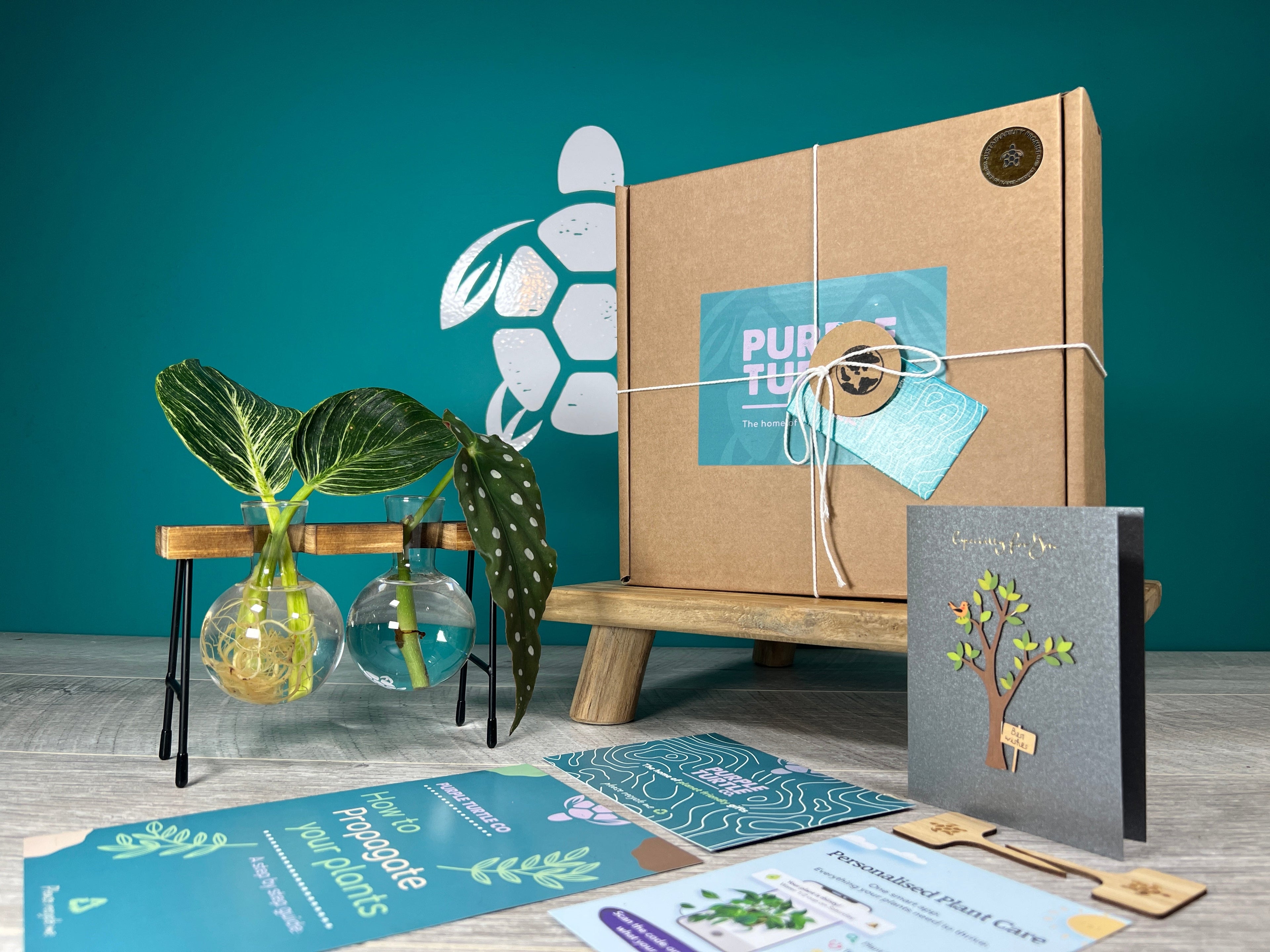 Plant Propagation Gift Set #3