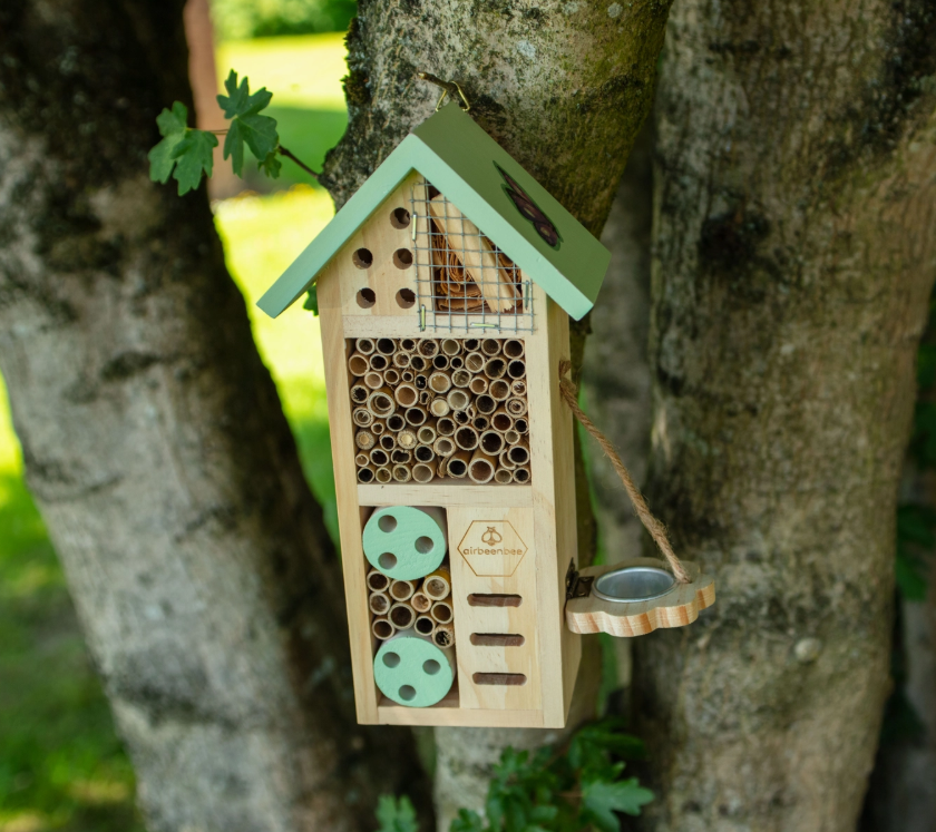 Air Bee 'n' Bee Insect House