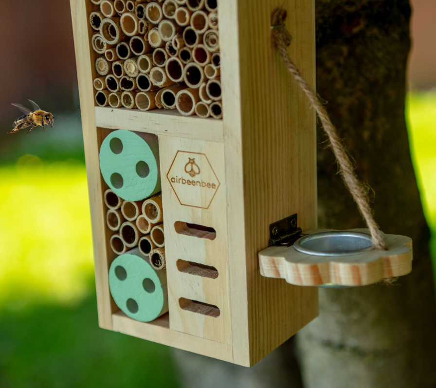 Air Bee 'n' Bee Insect House