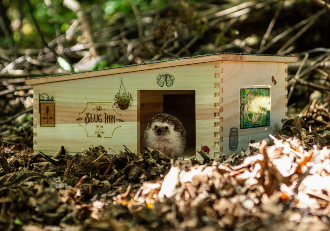 The Slug Inn Hedgehog House