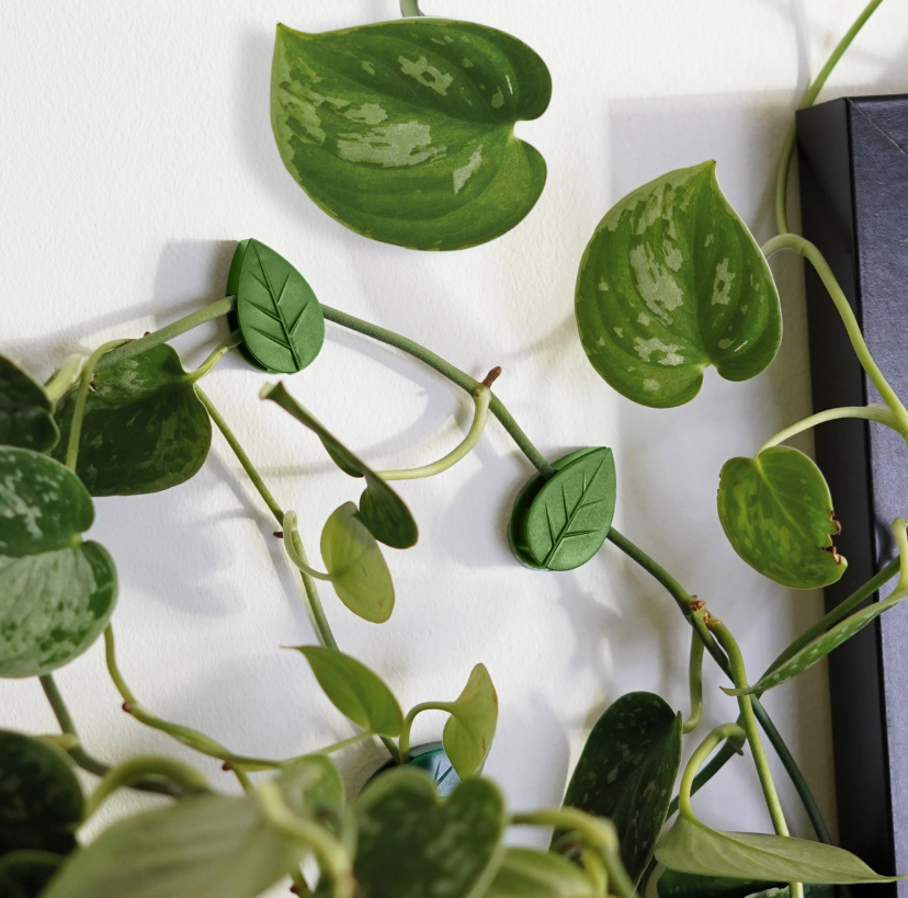 Climbing Clips for Trailing Plants