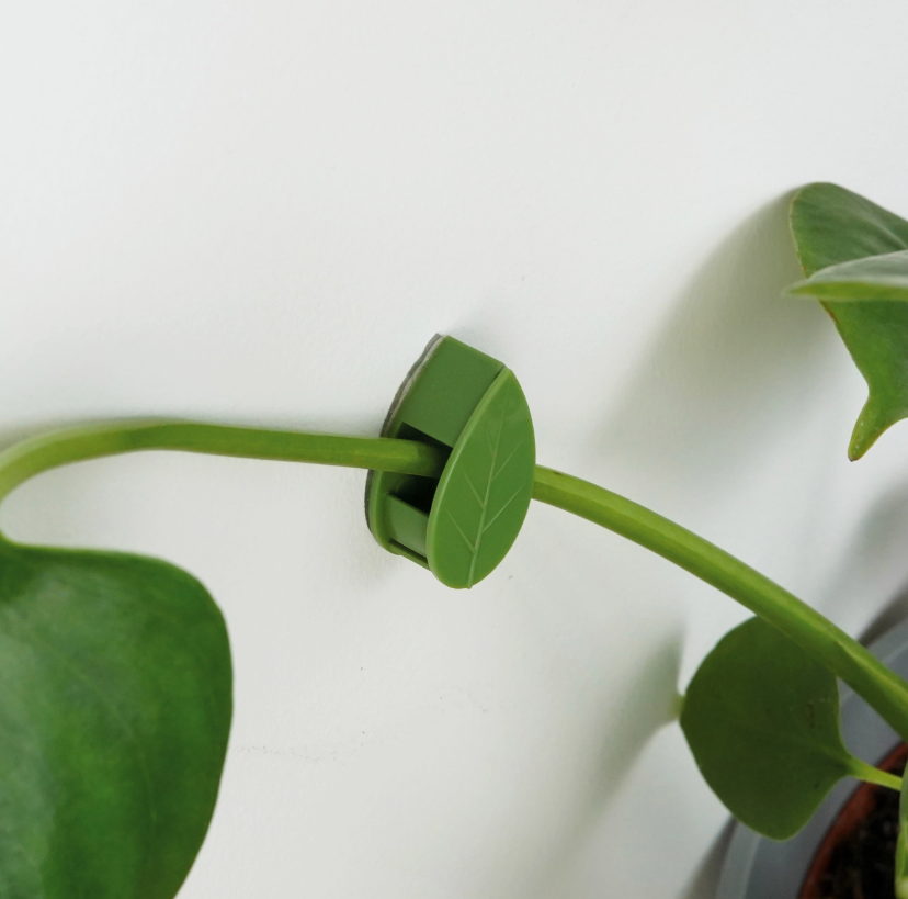 Climbing Clips for Trailing Plants