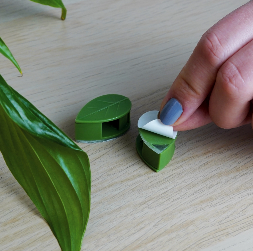 Climbing Clips for Trailing Plants