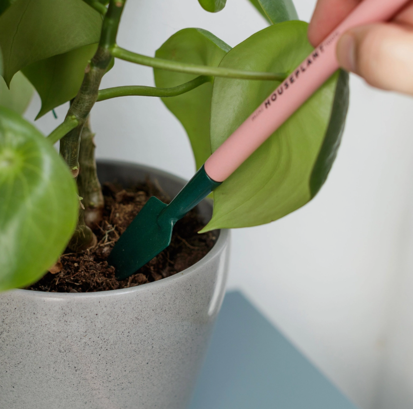 Mini Gardening Tools for House Plants