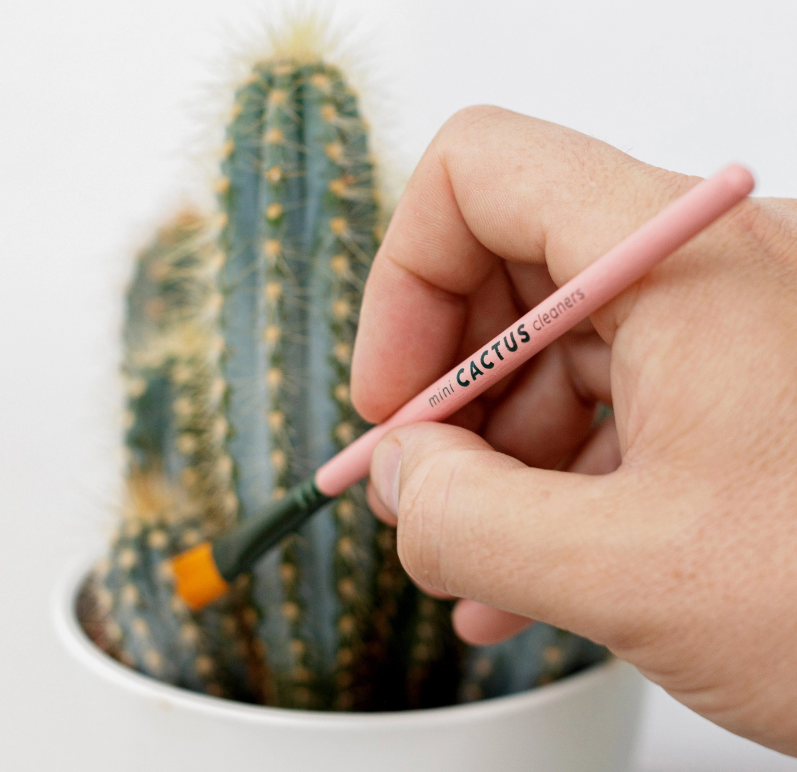 Mini Plant Cleaning Brushes