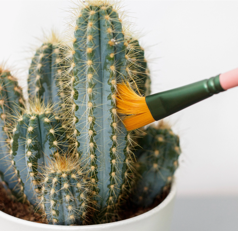 Mini Plant Cleaning Brushes
