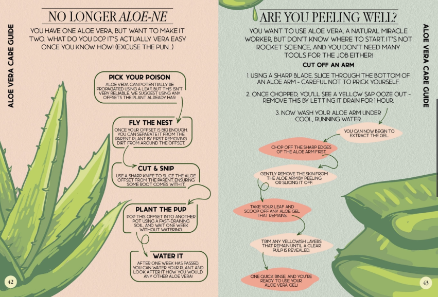 House Plant Survival Guide