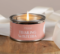 Trailing Wisteria Paint Tin Candle