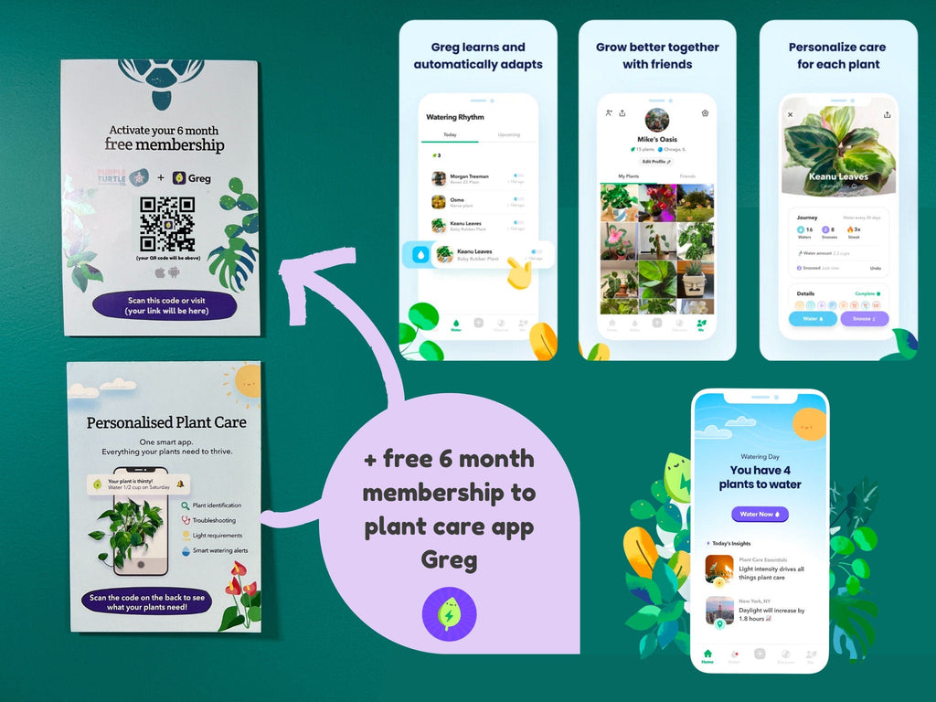 Plant Propagation Gift Set #6