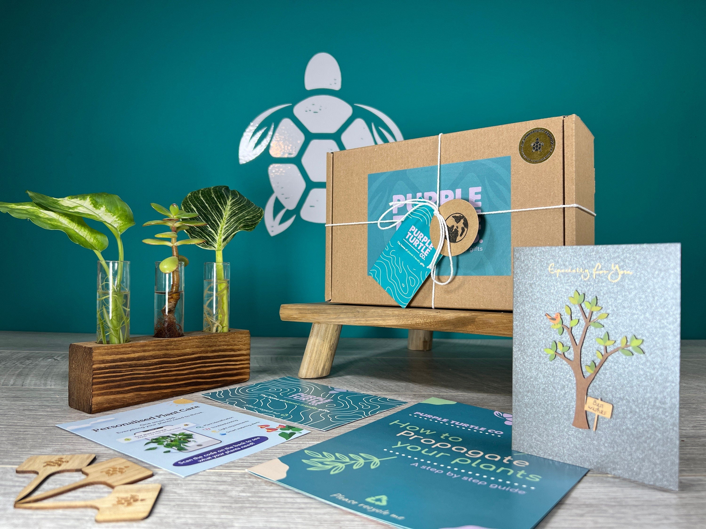 Plant Propagation Gift Set #6