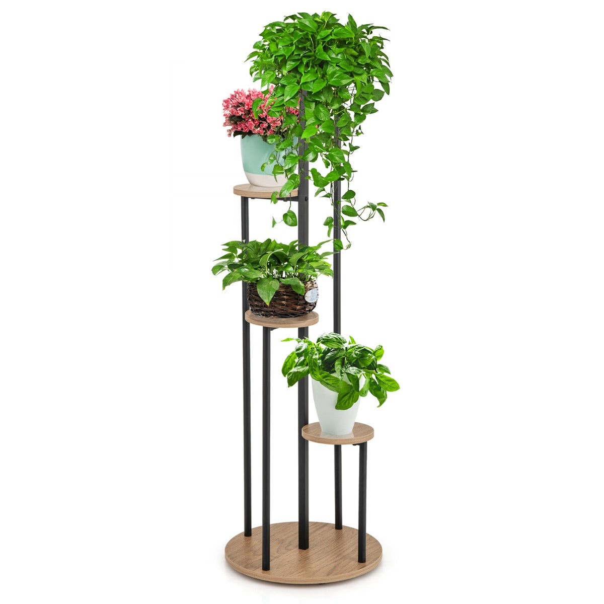 4 Tier Plant Stand - Kizuna